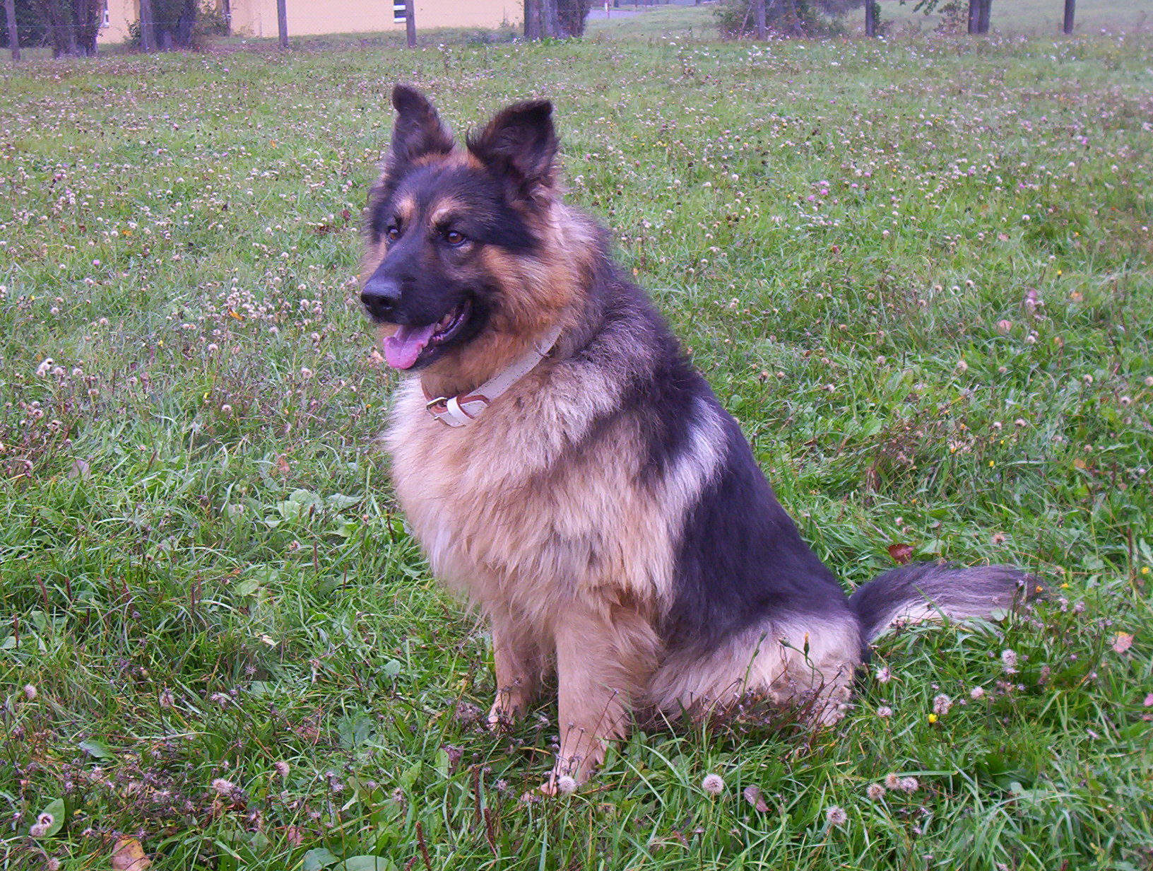 100_1044.JPG